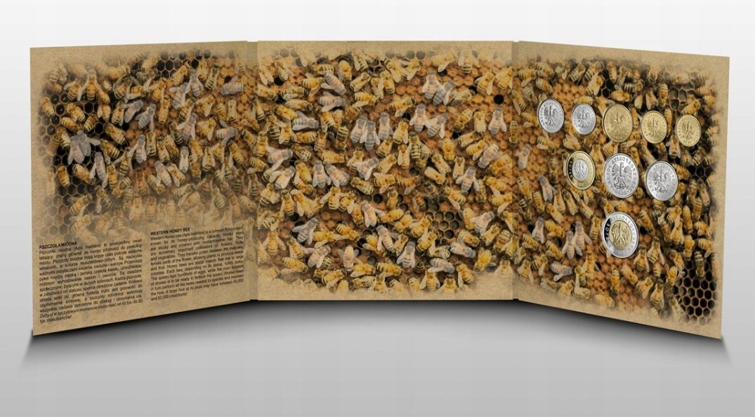 Pszczoła miodna - zestaw monet obiegowych 2021